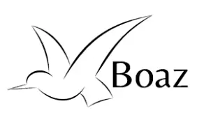 Boaz logo